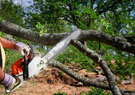 Mulching Services in Aetna Estates, CO